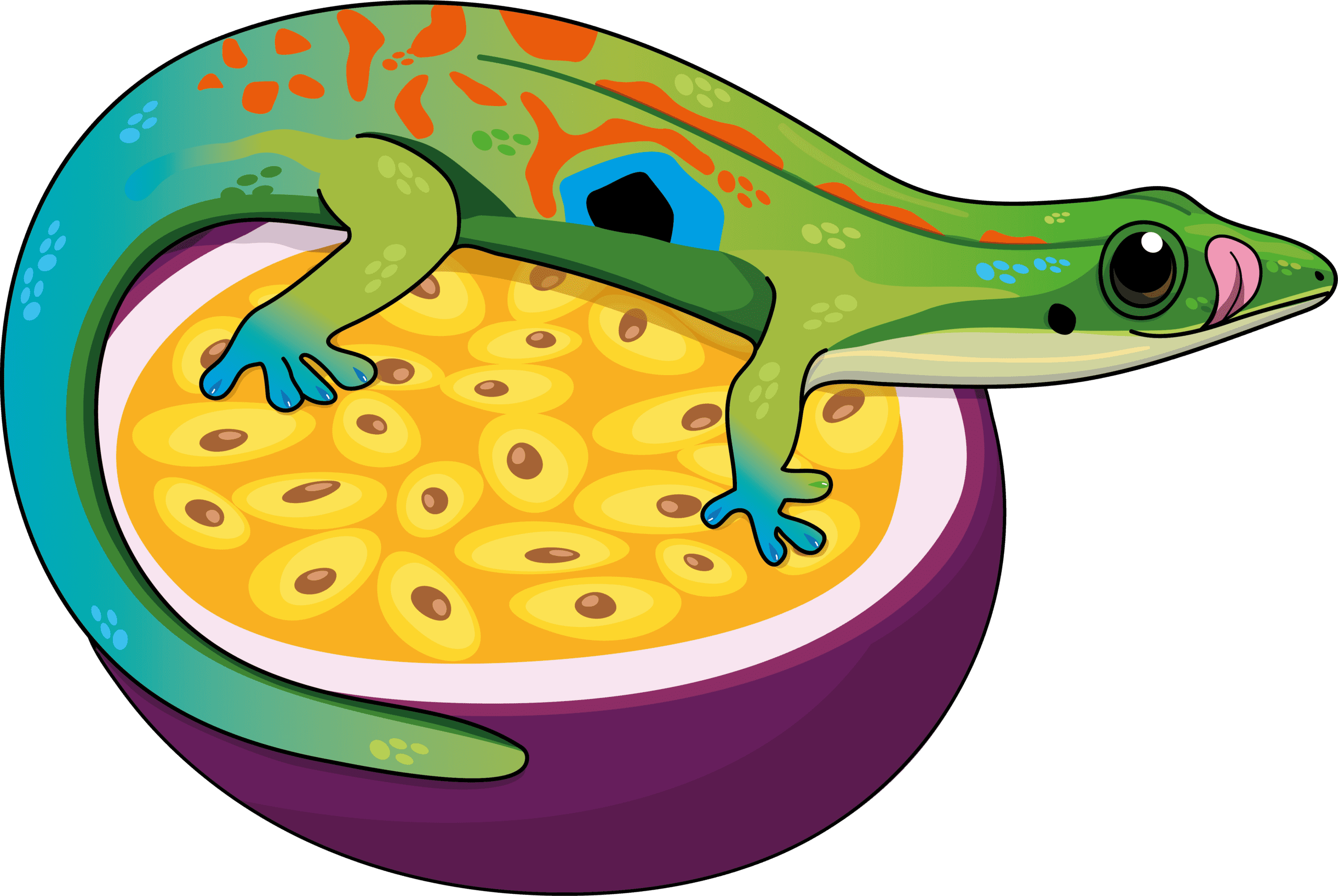 Phelsuma Passion character, a peacock day gecko