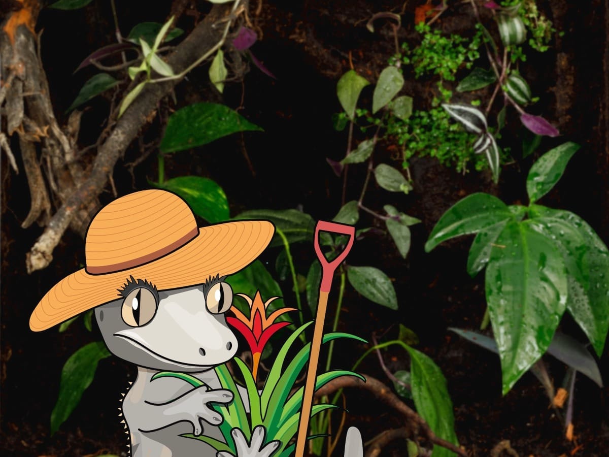 Gardener crestie character with a spade and bromeliad in front of a planted vivarium