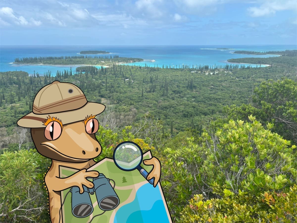 Explorer crestie character with a map and binoculars overlooking the Isle of Pines, New Caledonia