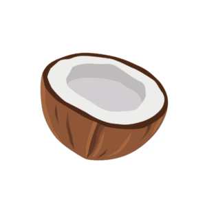 Coconut icon