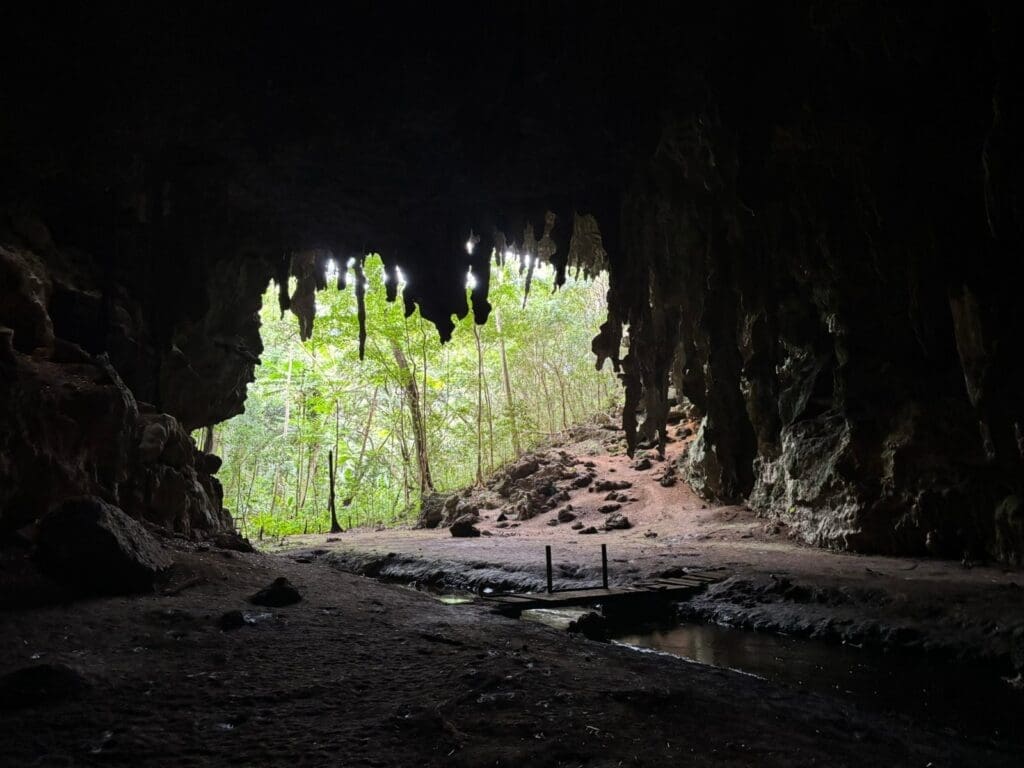 A view from Grotto De La Hortense, Isle of Pines