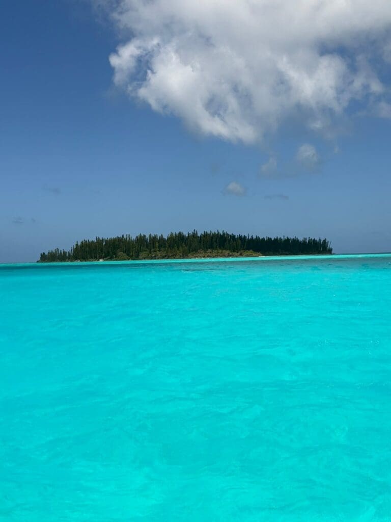Ilot Brosse translates to Brush Island, as the pines are said to look like a hairbrush