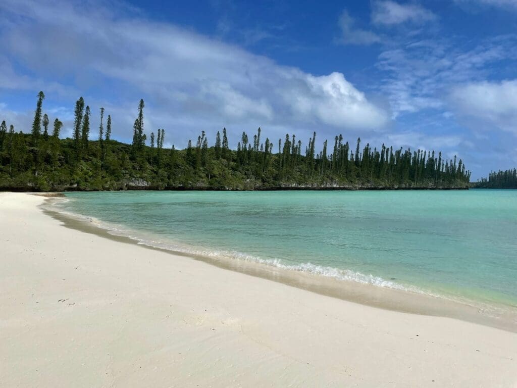 Tall, narrow Cook pines along a white sand beach and turquoise bay on the Isle of Pines, New Caledonia
