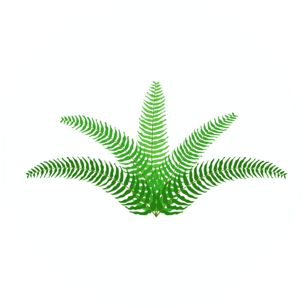 Ferns layer icon