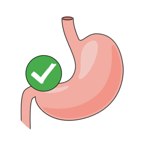 Gut health icon