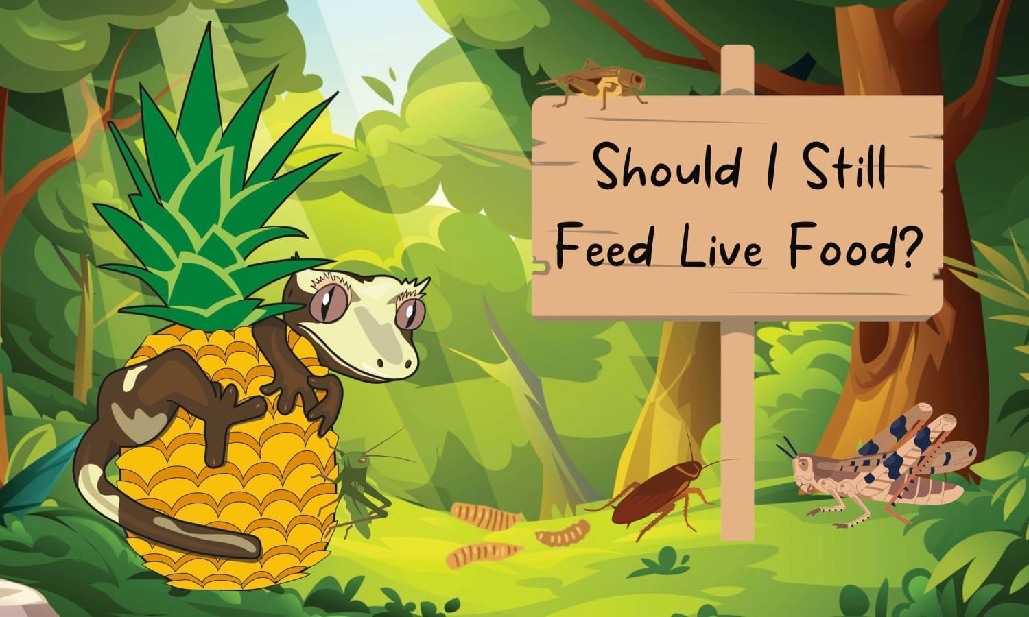 Should I Still Feed Live Food? banner